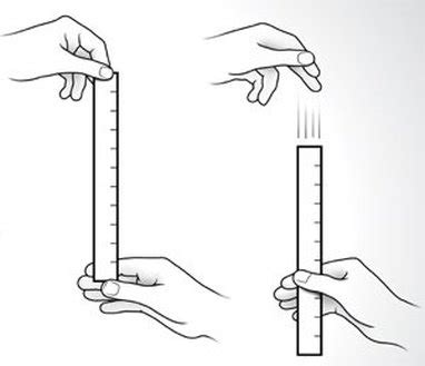 brian mac fitness test ruler drop|ruler drop test diagram.